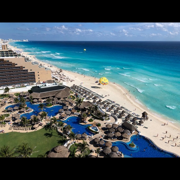 Meet your Posher, Miki - Picture 1 of 1